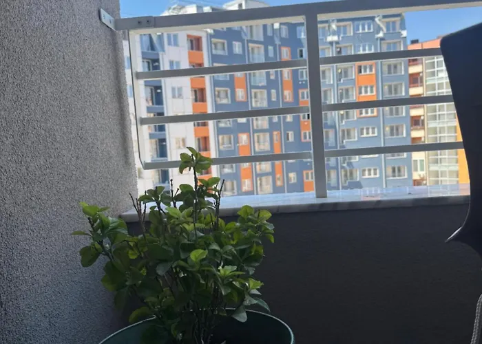Plava Laguna - Free Parking - 5 Min Center Appartement *