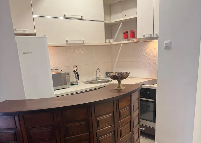 Plava Laguna - Free Parking - 5 Min Center Appartement